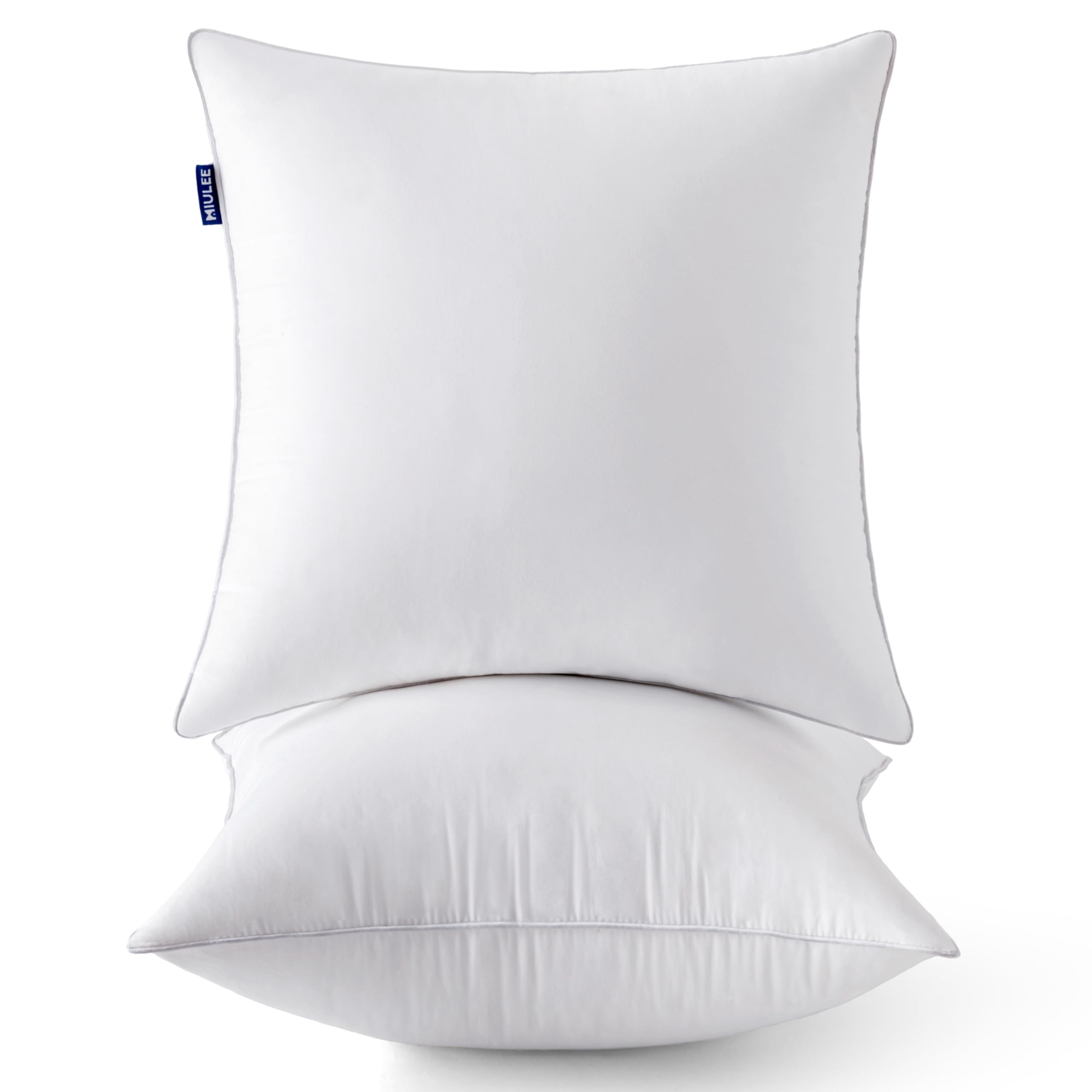 Amazon.com: MIULEE 20 x 20 Pillow Inserts (Set of 2) -Throw